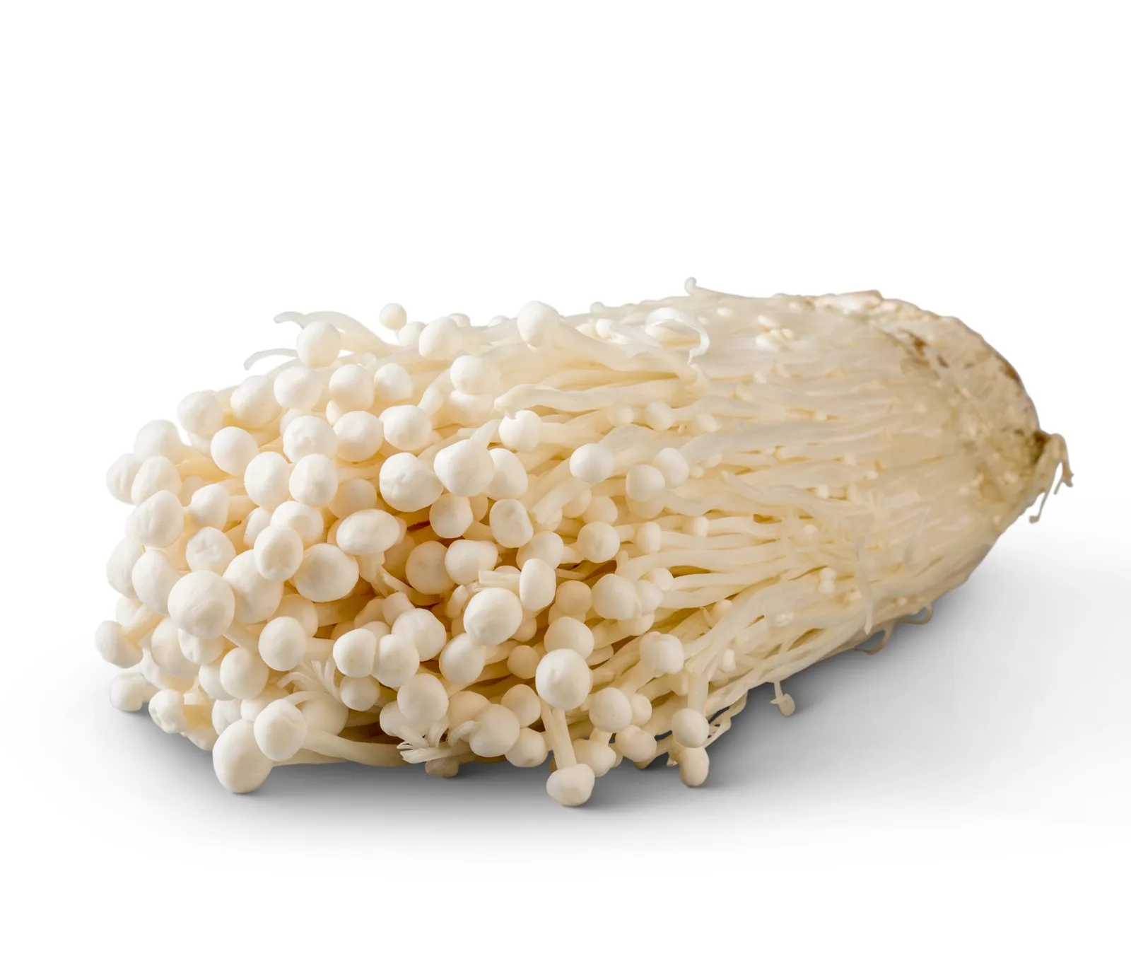 Enoki