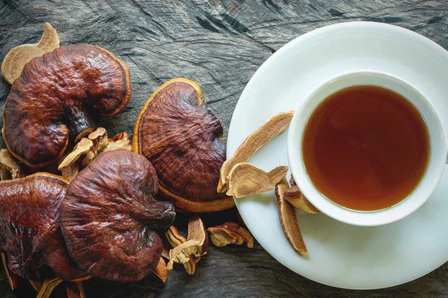 Reishi - foto 6