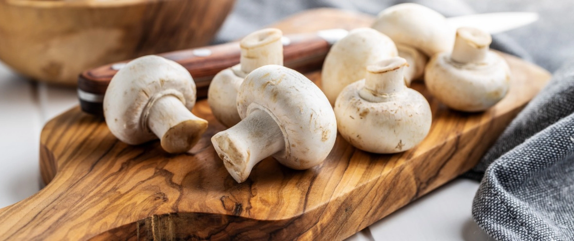 Receitas com cogumelos